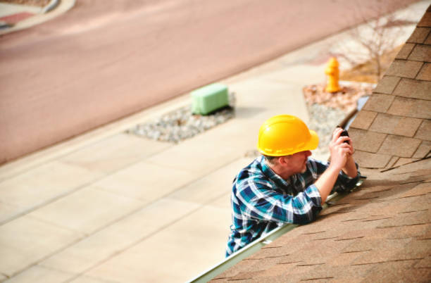 Roof Gutter Cleaning in Dewitt, MI