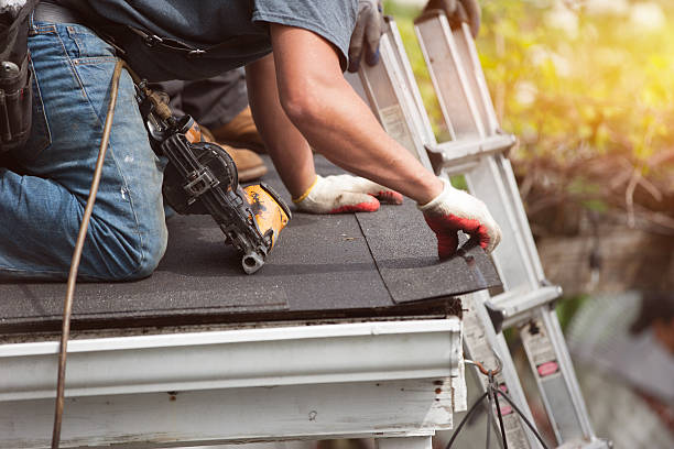 Best New Roof Installation  in Dewitt, MI
