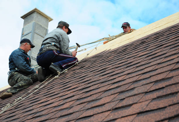 Best Storm Damage Roof Repair  in Dewitt, MI